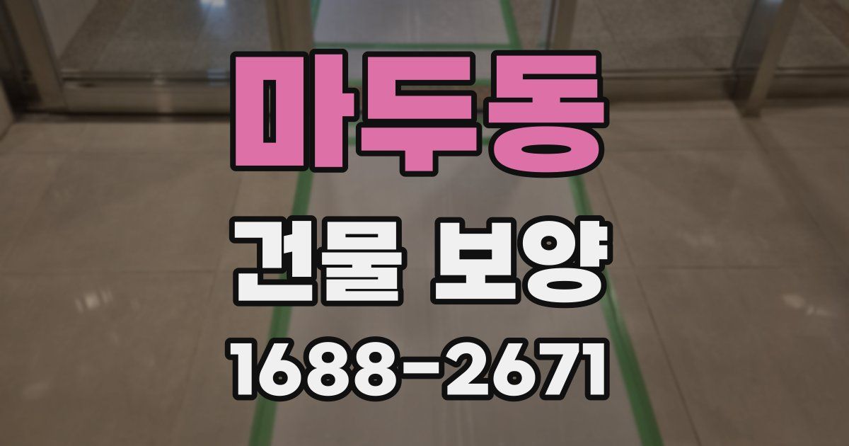 마두동 건물 보양