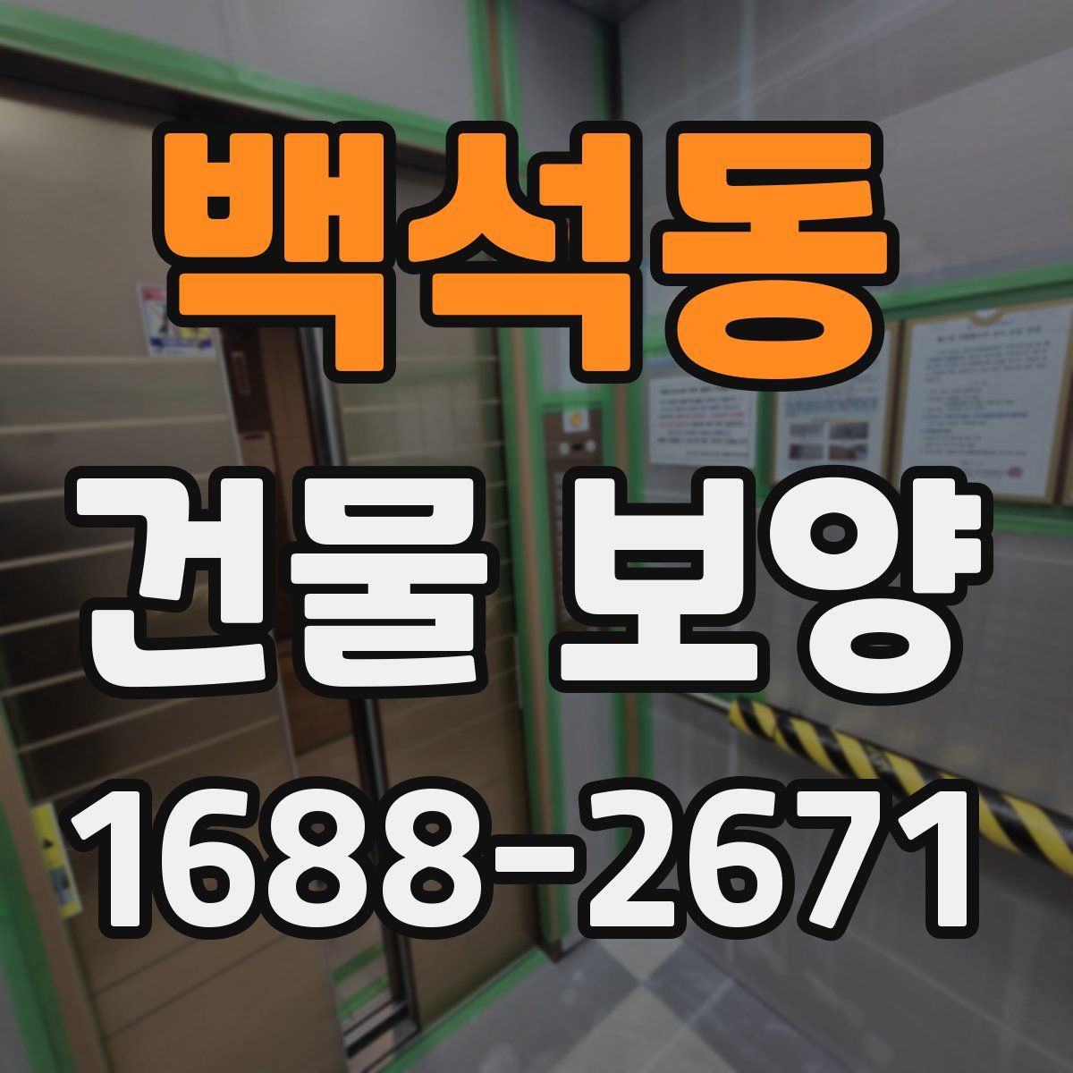 백석동 건물 보양