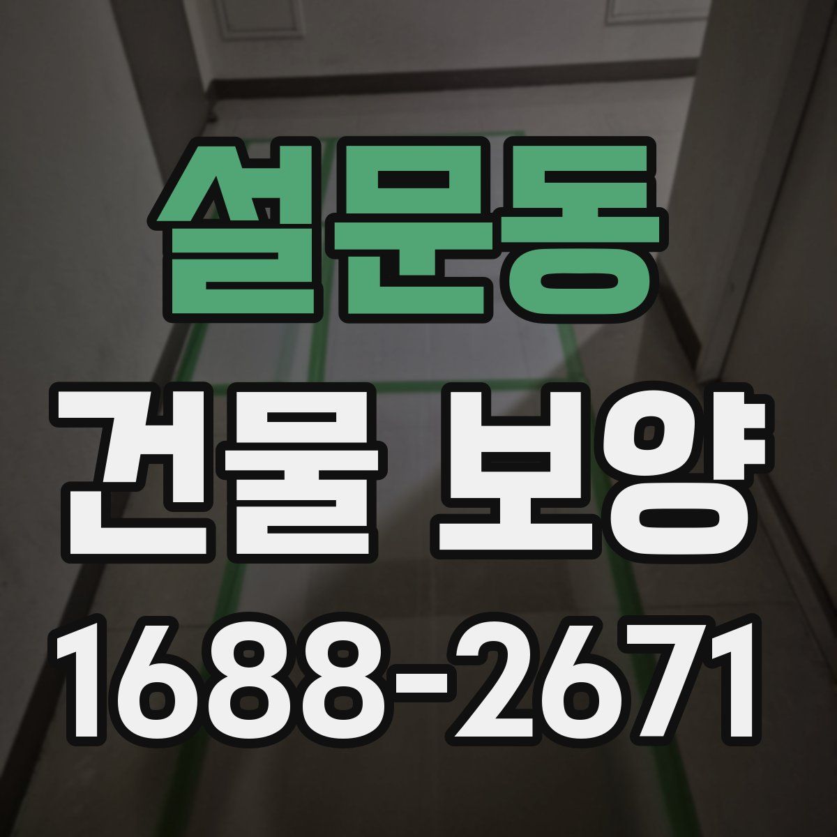 설문동 건물 보양