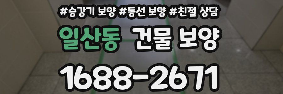 일산동 건물 보양