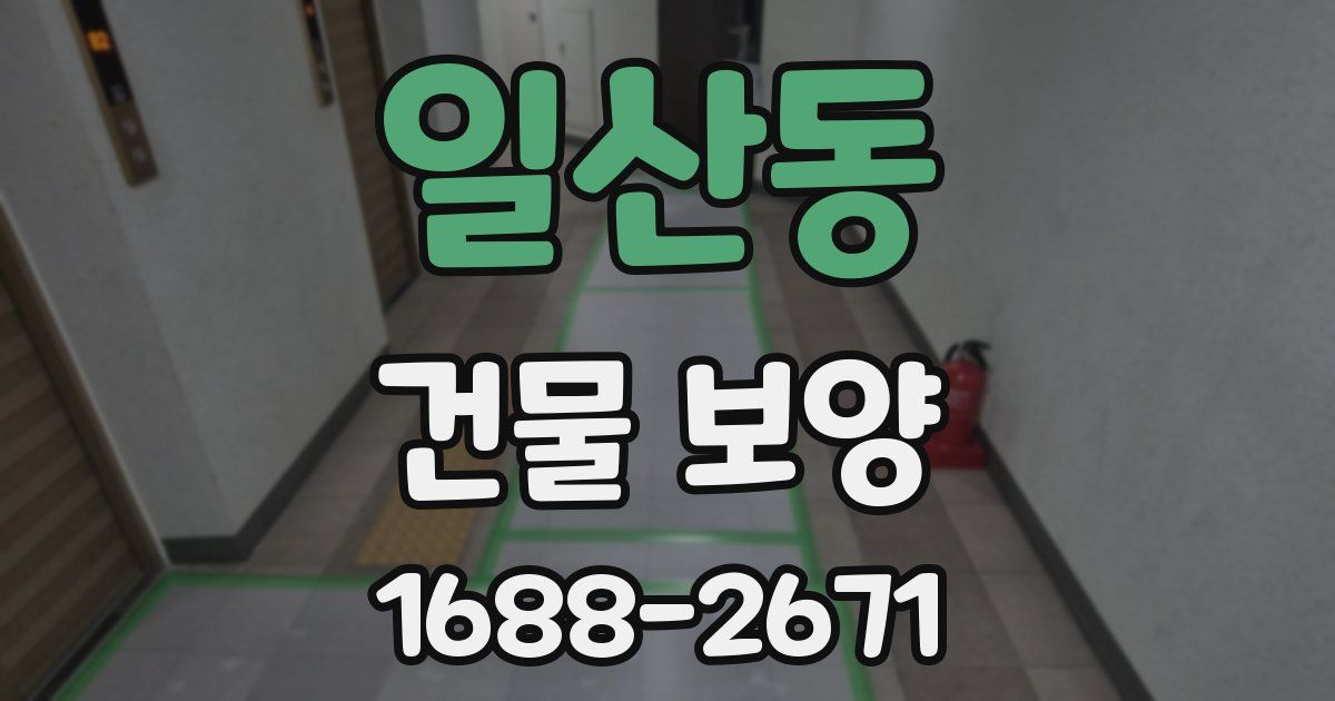 일산동 건물 보양