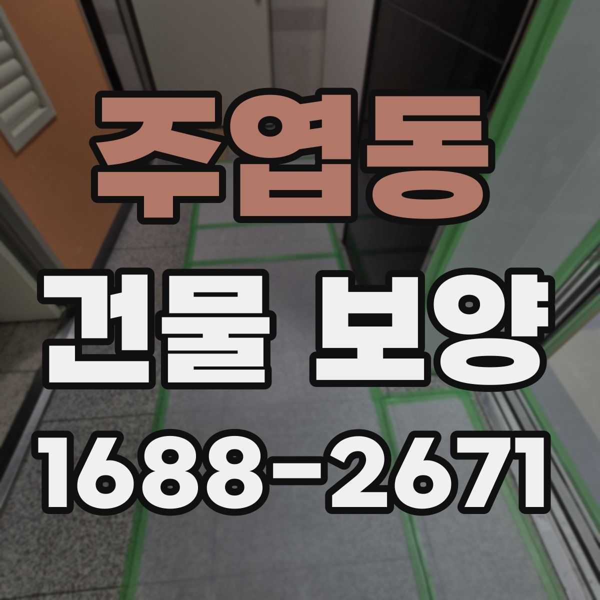 주엽동 건물 보양