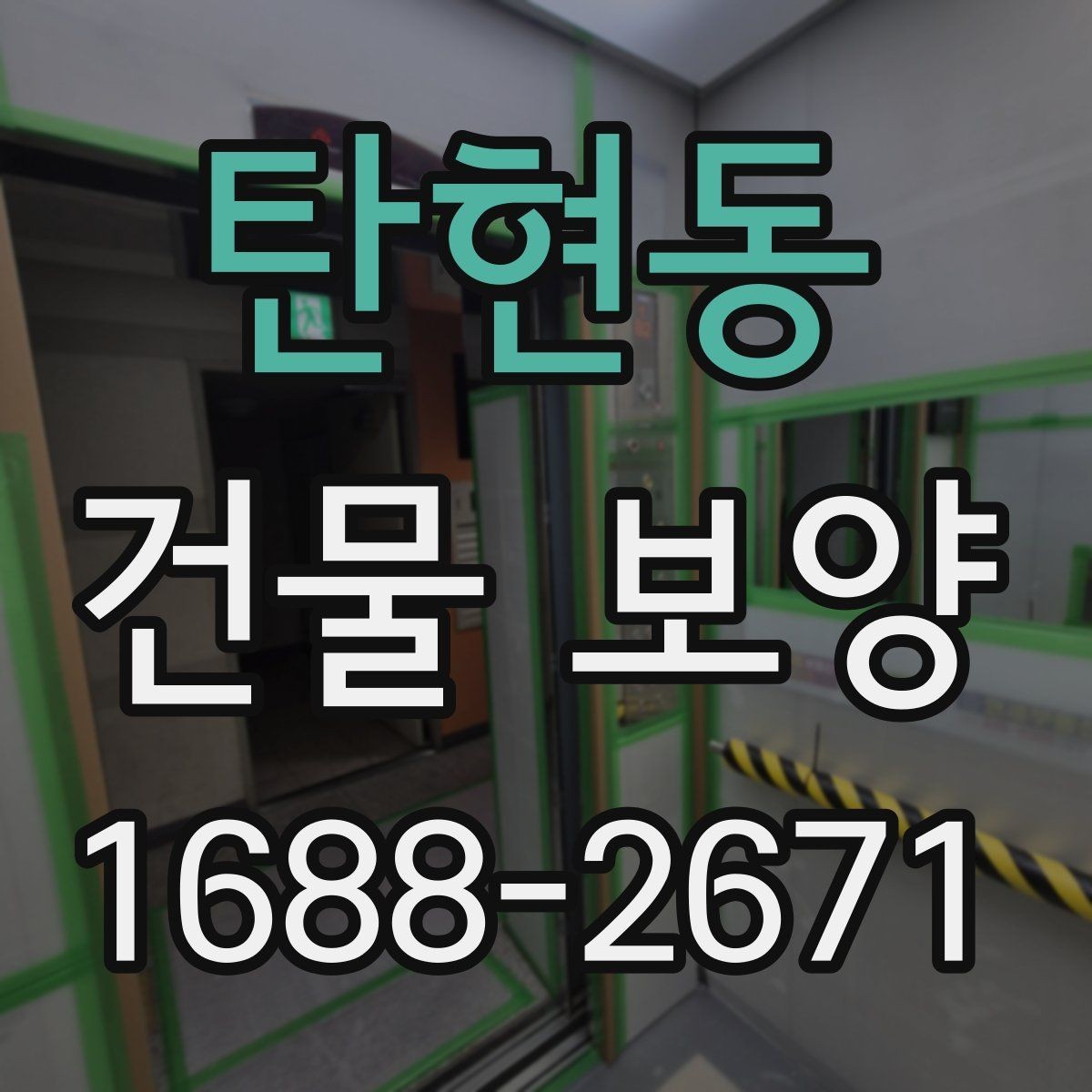 탄현동 건물 보양 마감 보호를 위한 실무 팁