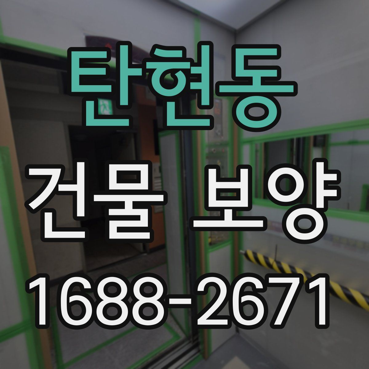 탄현동 건물 보양