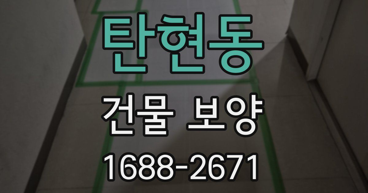 탄현동 건물 보양