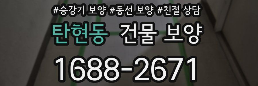 탄현동 건물 보양