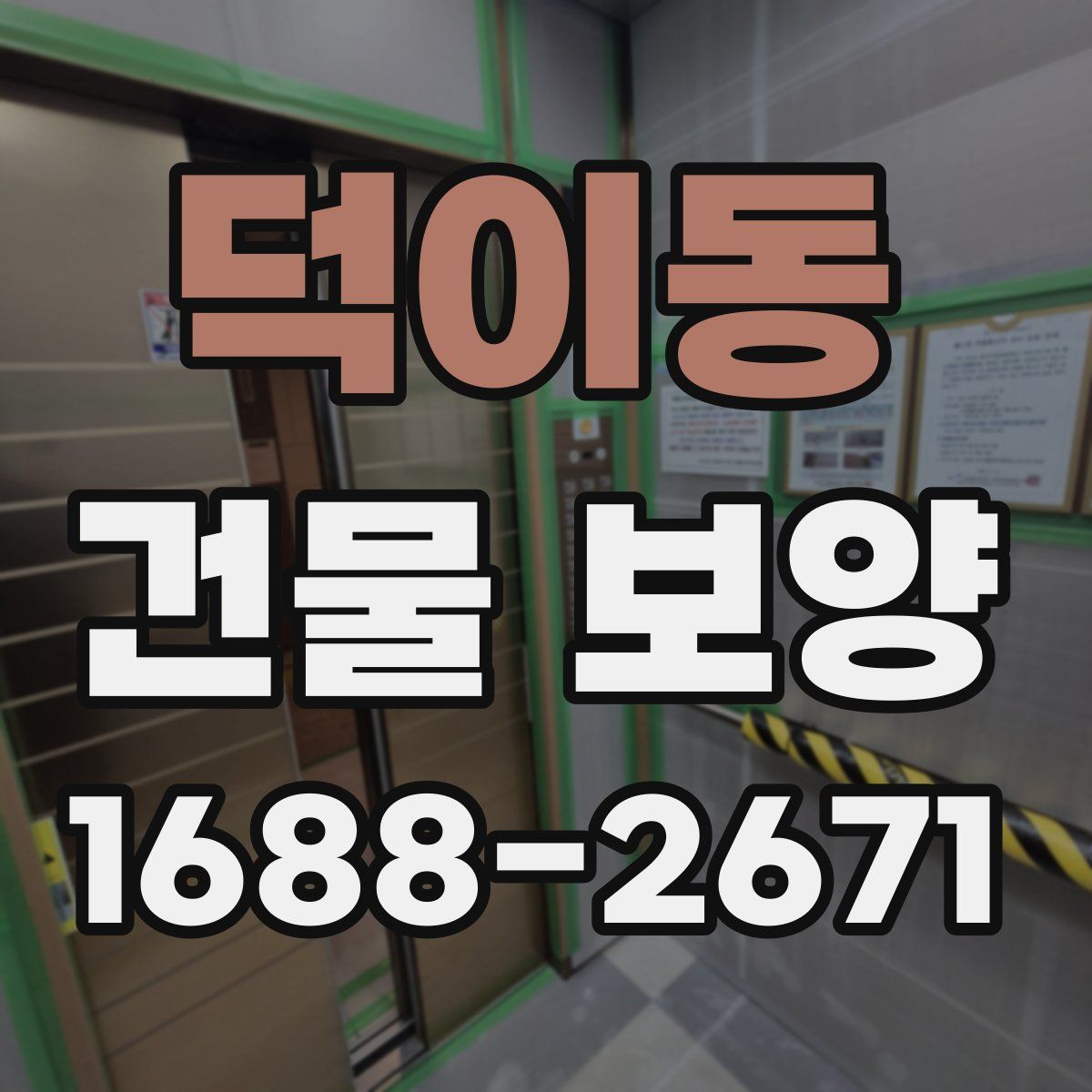 덕이동 건물 보양