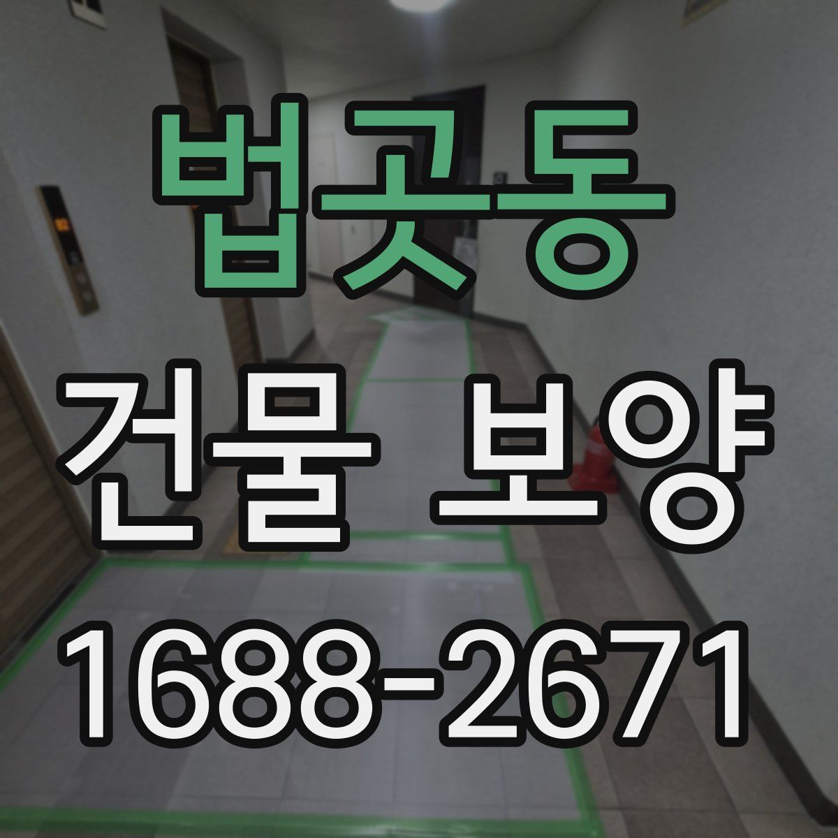 법곳동 건물 보양