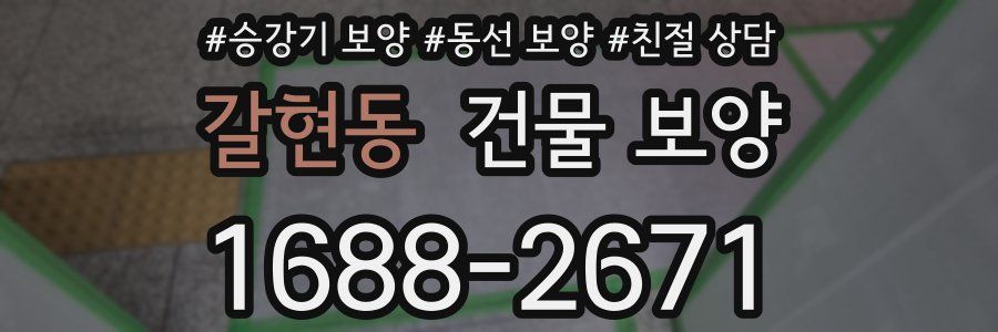 갈현동 건물 보양