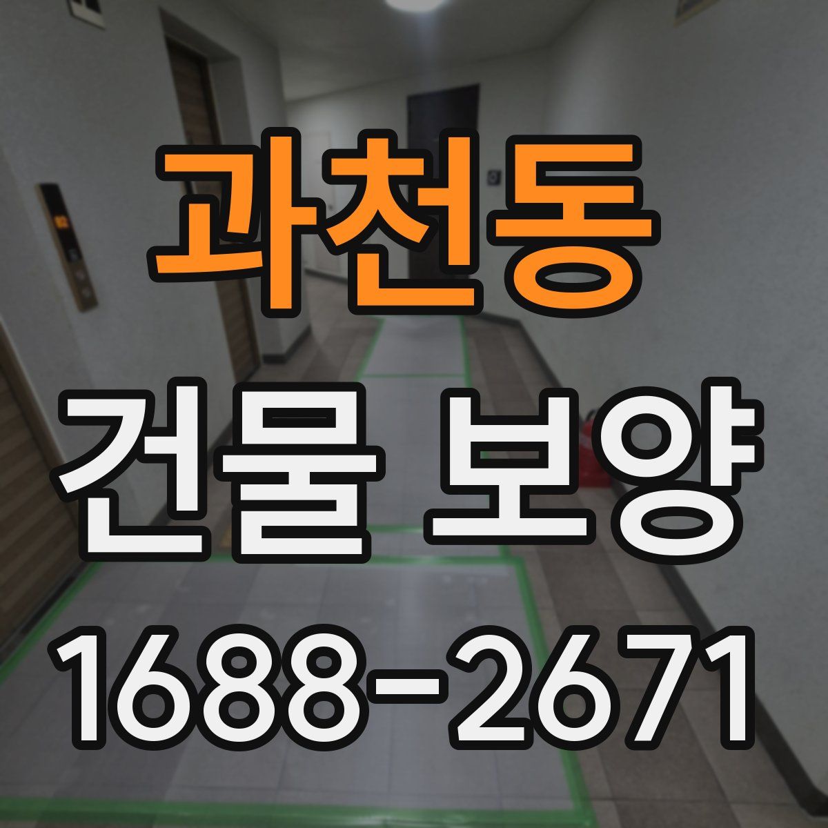 과천동 건물 보양