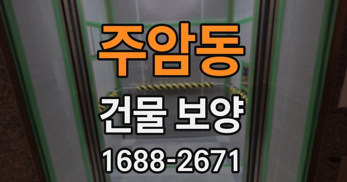 주암동 건물 보양