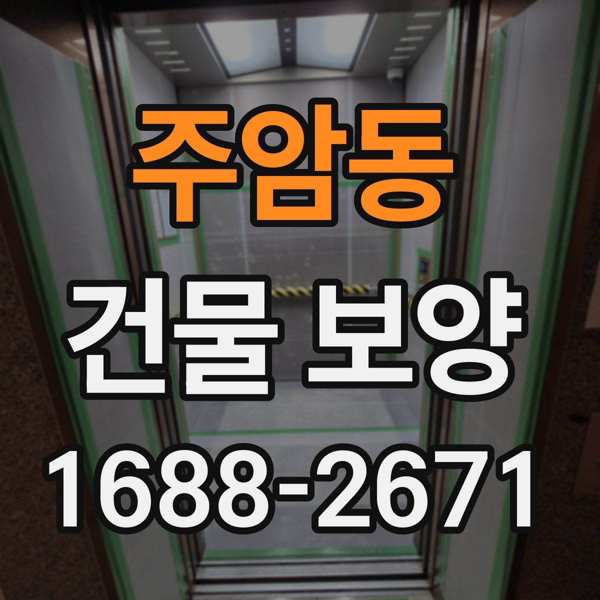 주암동 건물 보양