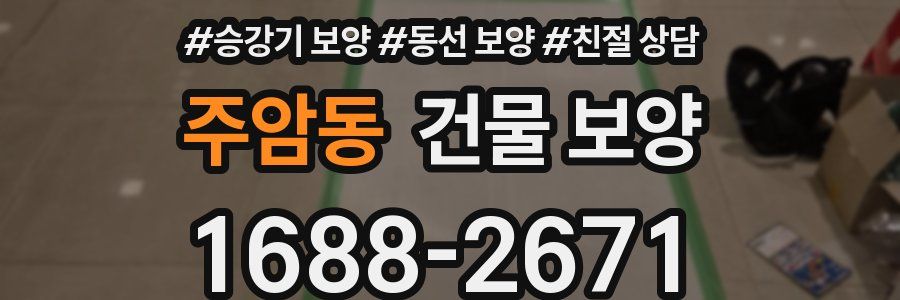 주암동 건물 보양