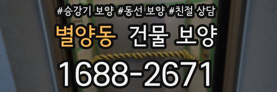 별양동 건물 보양