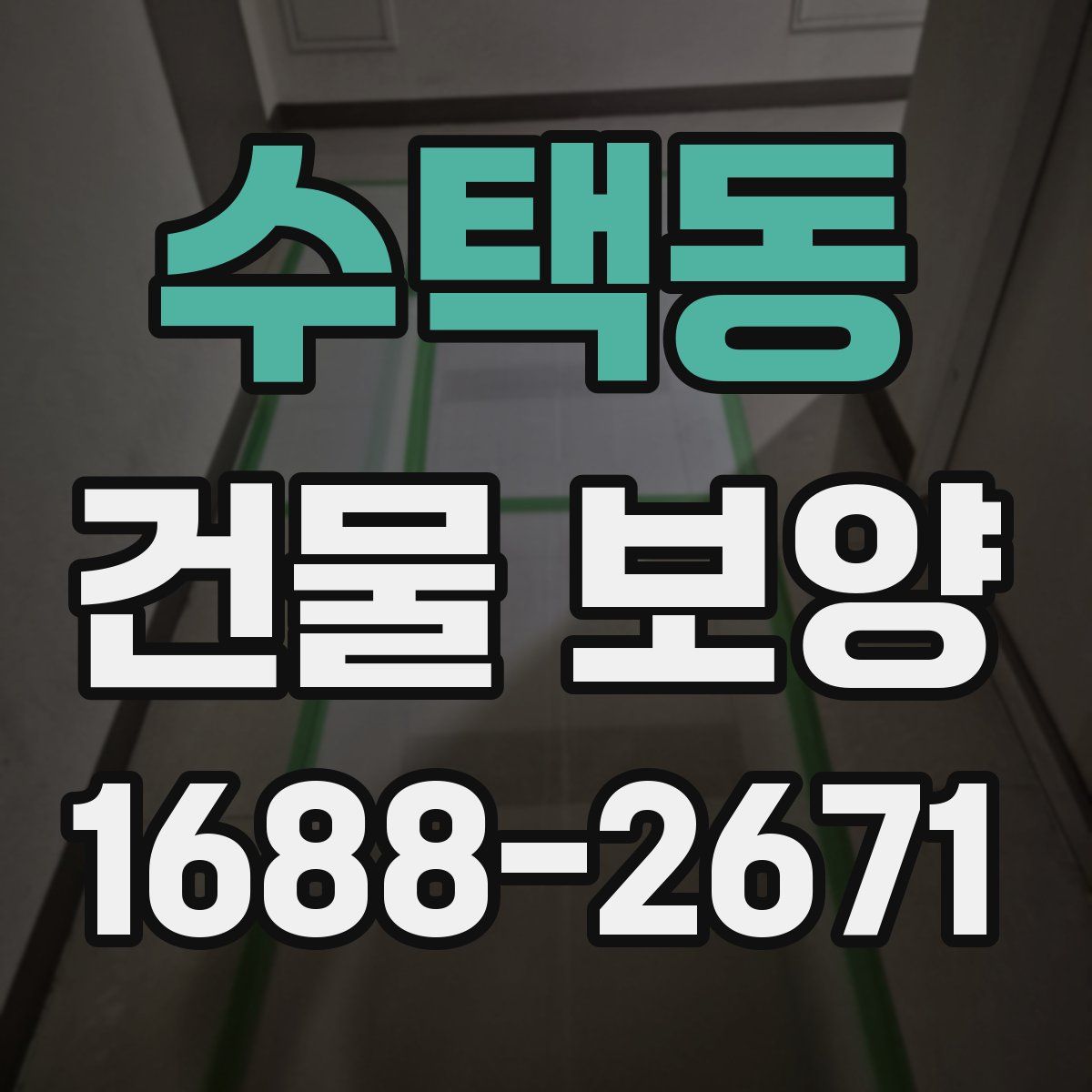 수택동 건물 보양