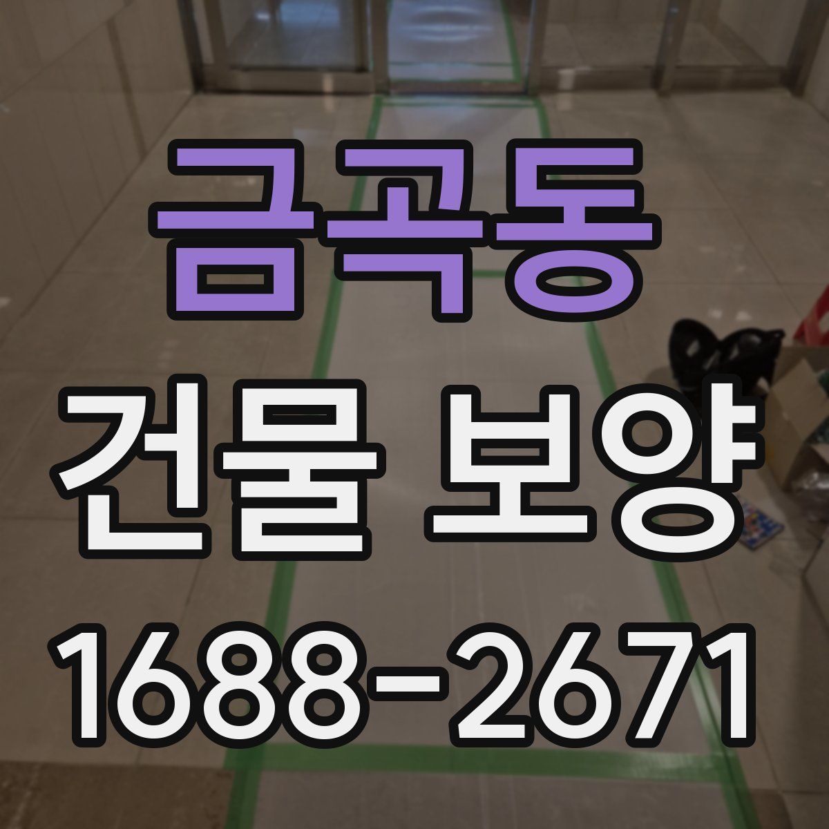 금곡동 건물 보양