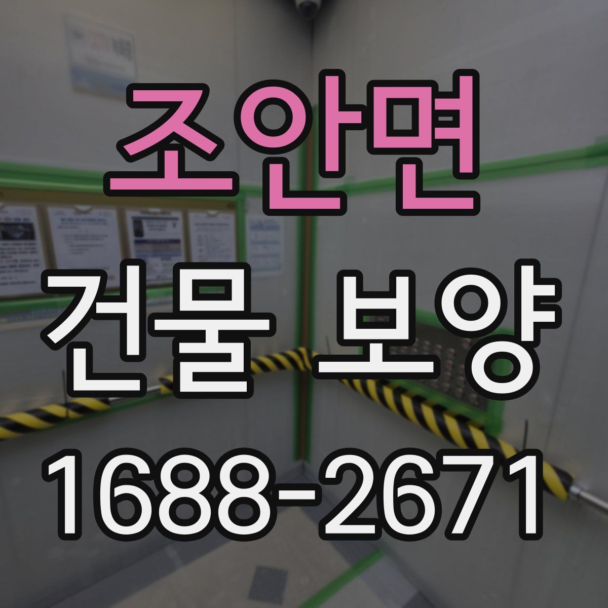 조안면 건물 보양