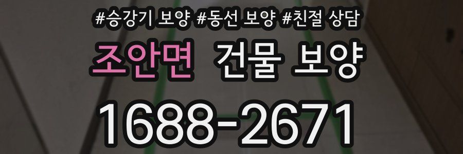 조안면 건물 보양