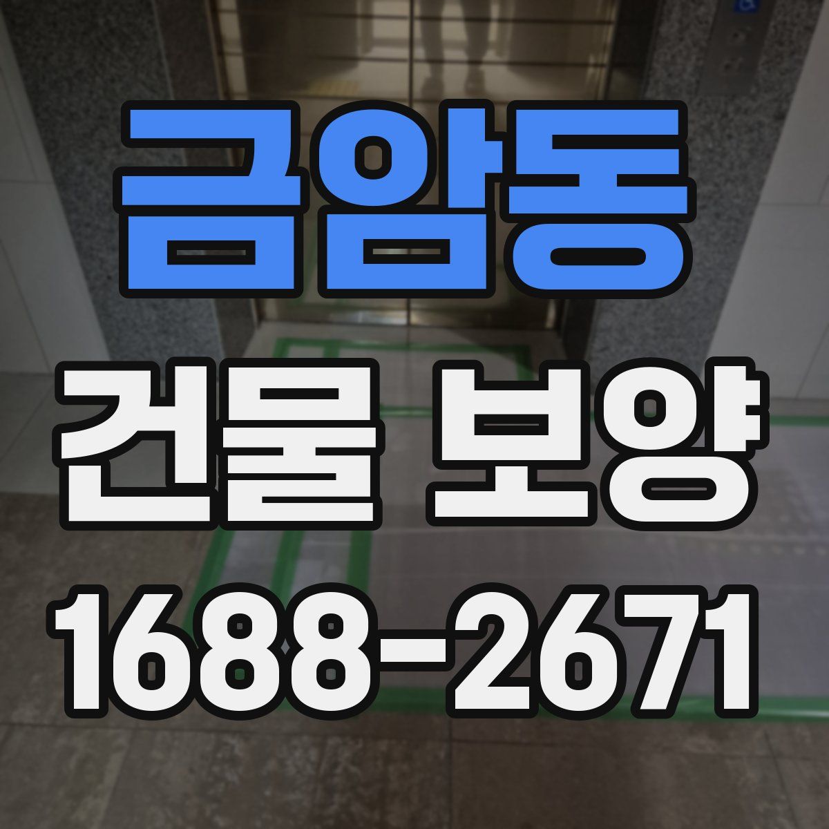 금암동 건물 보양