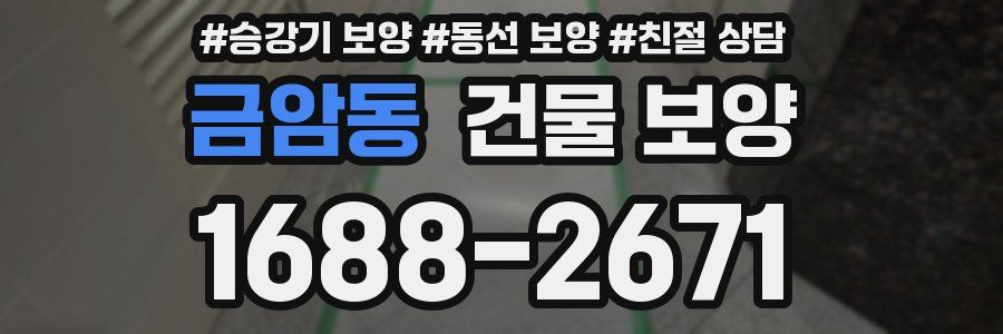 금암동 건물 보양