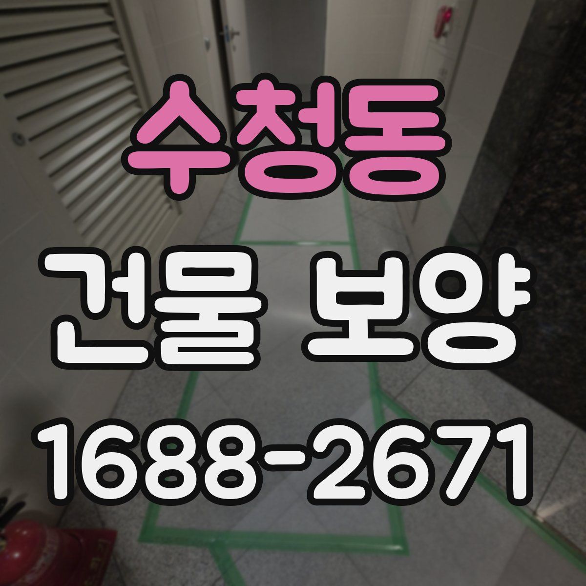수청동 건물 보양