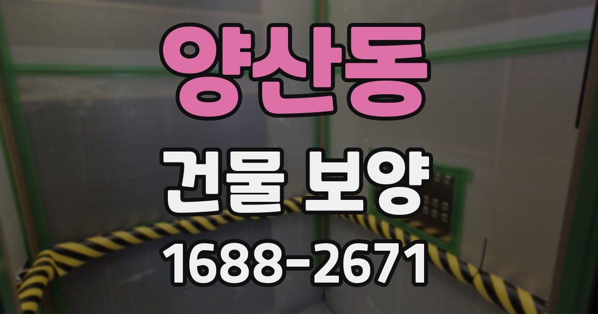 양산동 건물 보양