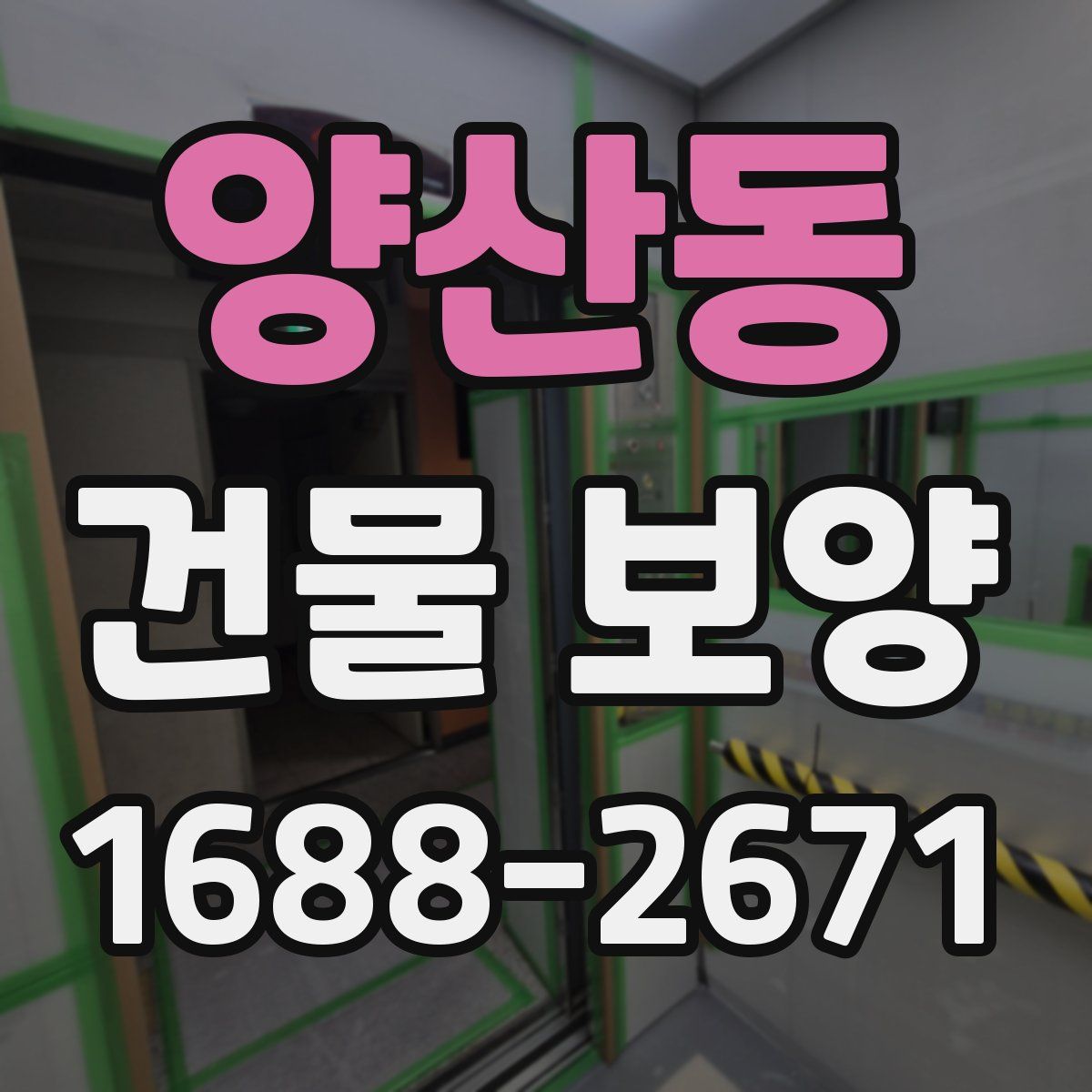 양산동 건물 보양