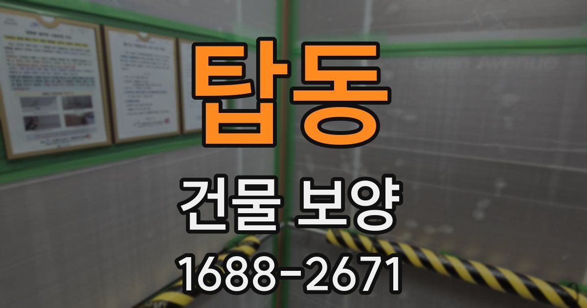 탑동 건물 보양