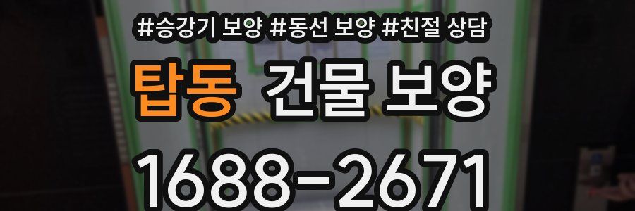 탑동 건물 보양