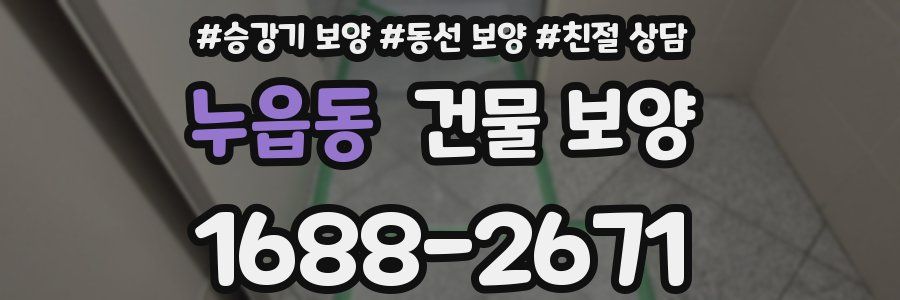 누읍동 건물 보양