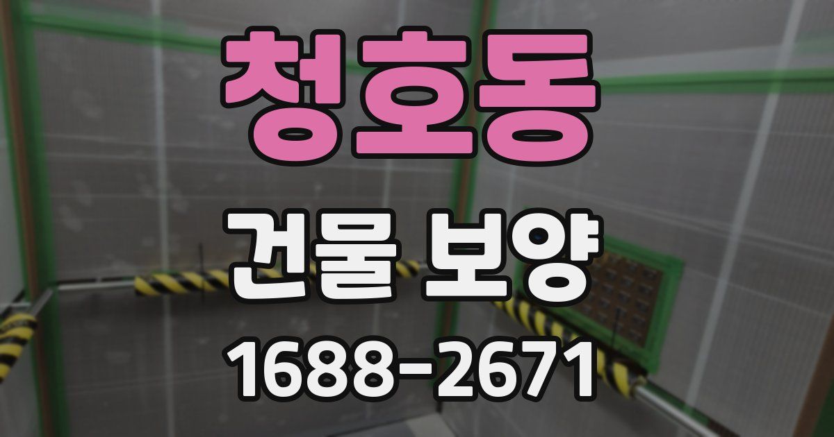 청호동 건물 보양