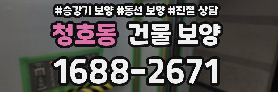 청호동 건물 보양