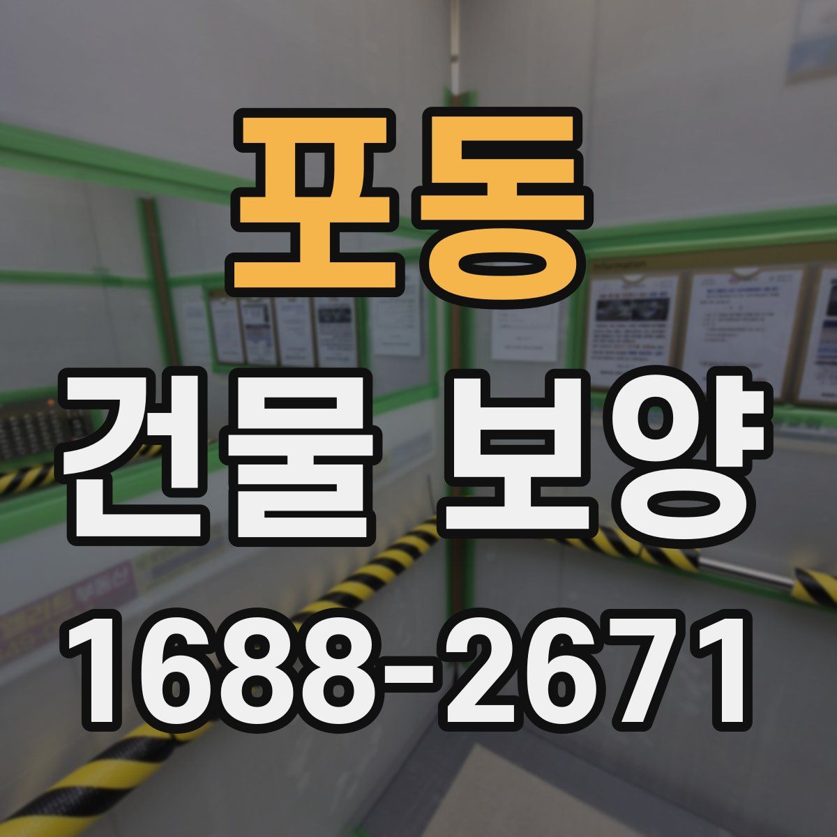 포동 건물 보양