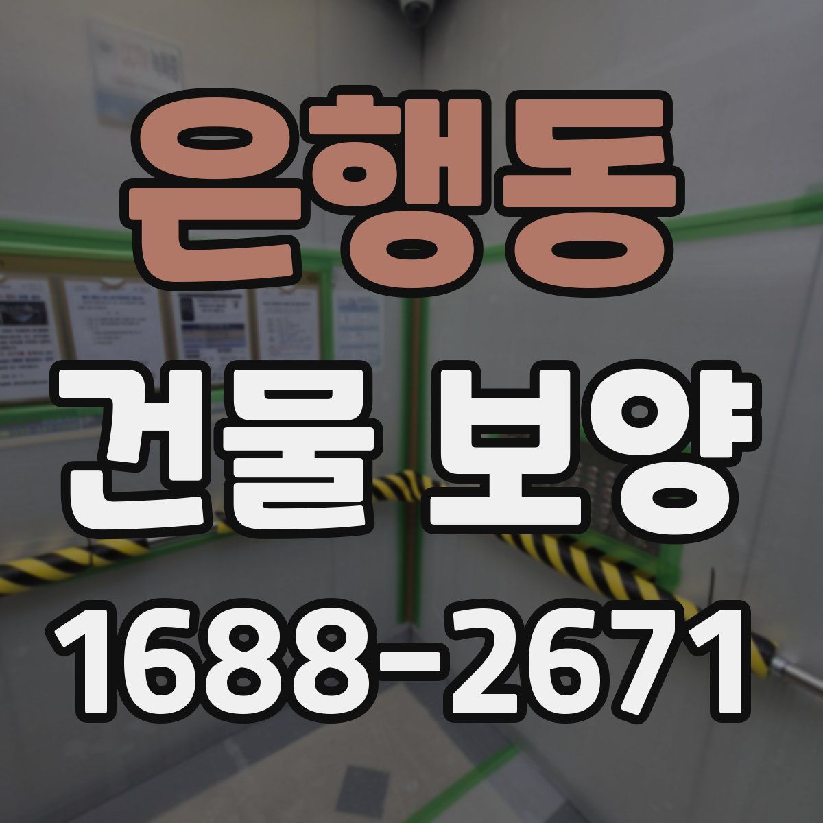 은행동 건물 보양
