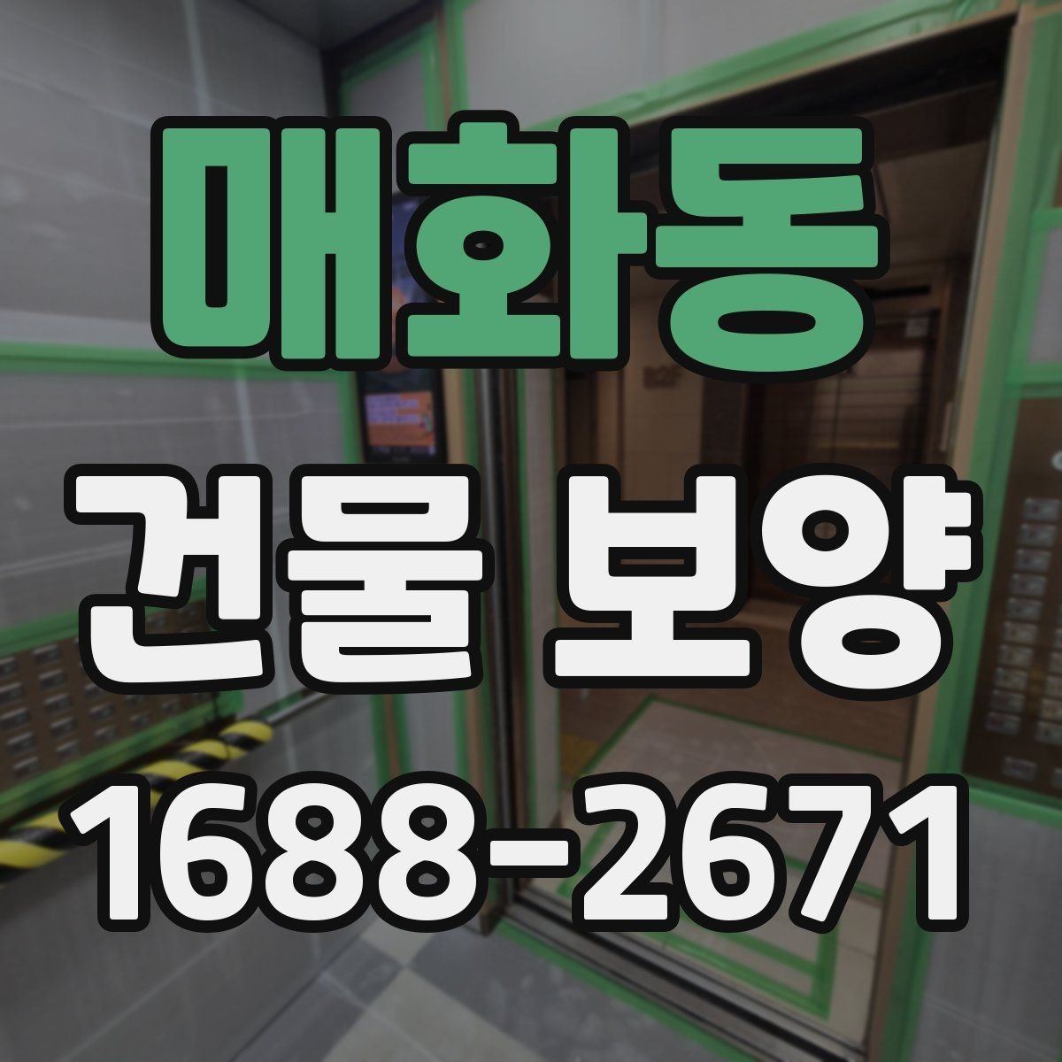 매화동 건물 보양 작업의 단계별 진행 방식