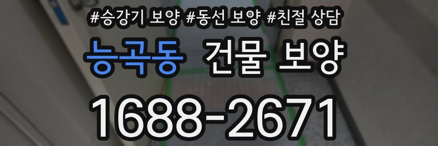 능곡동 건물 보양