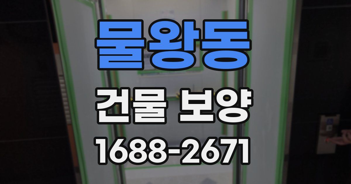 물왕동 건물 보양