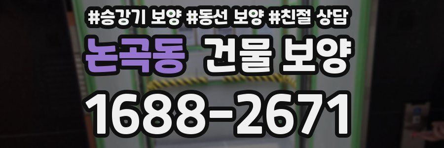 논곡동 건물 보양