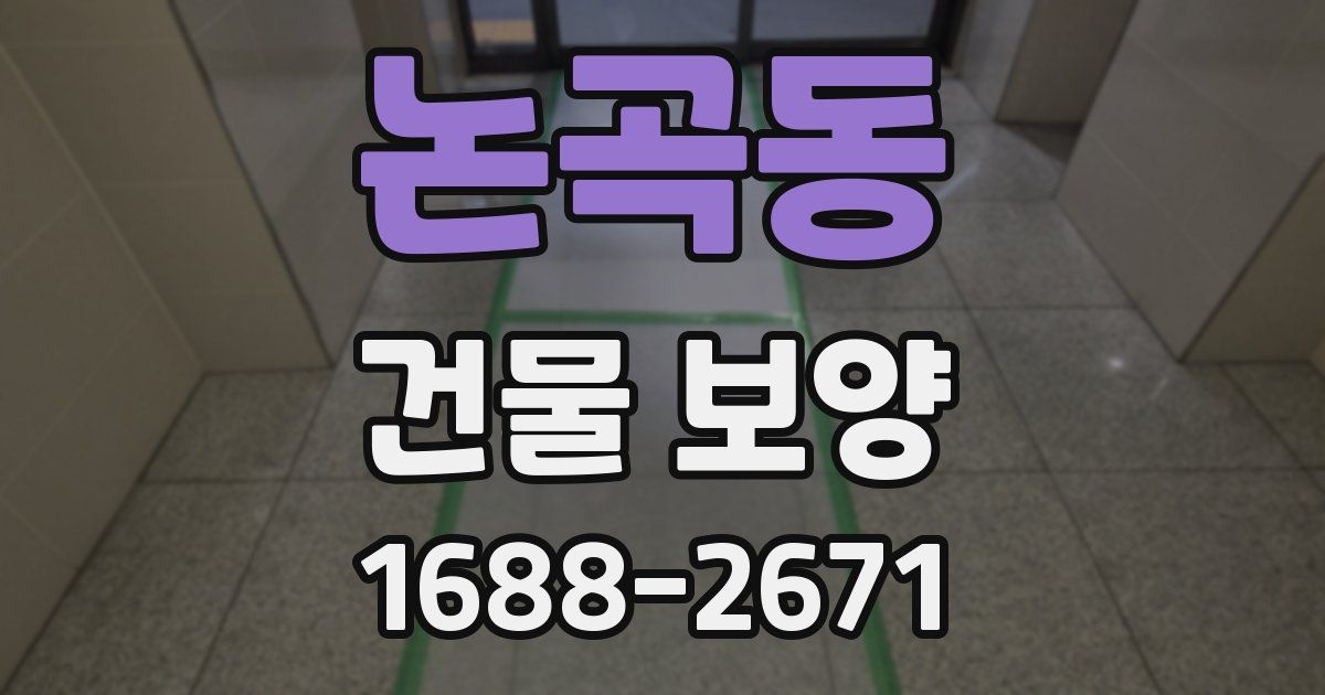 논곡동 건물 보양