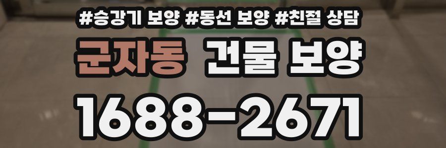 군자동 건물 보양