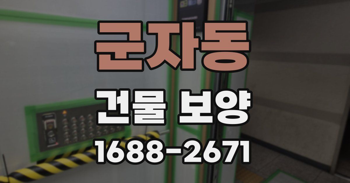 군자동 건물 보양