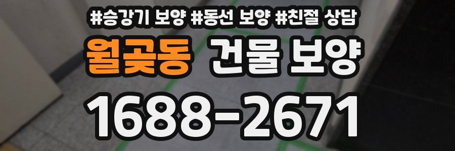 월곶동 건물 보양