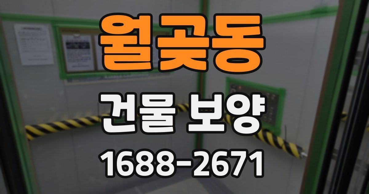 월곶동 건물 보양