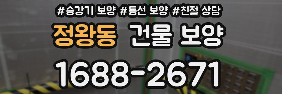 정왕동 건물 보양