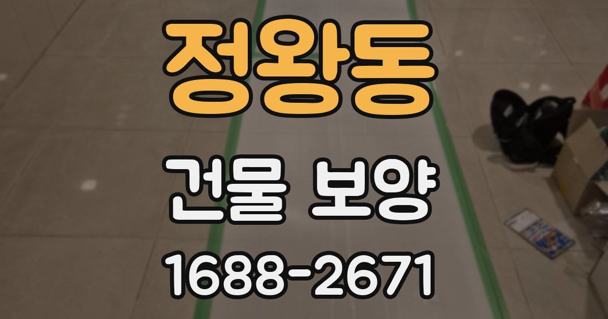 정왕동 건물 보양
