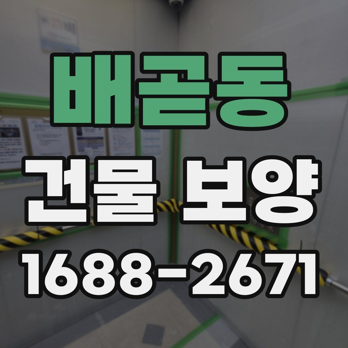 배곧동 건물 보양 작업 순서와 체크리스트