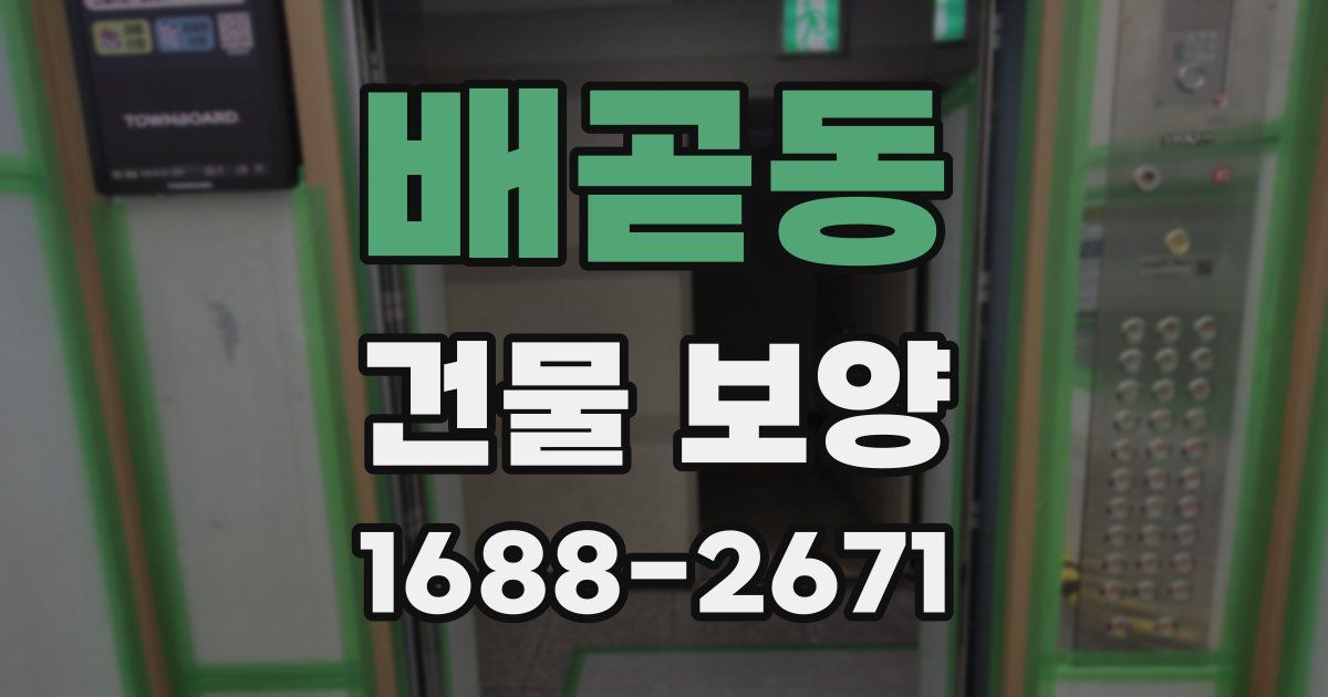 배곧동 건물 보양