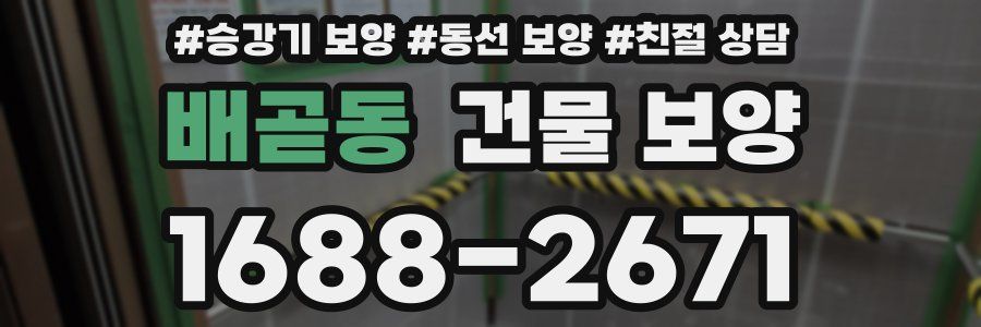 배곧동 건물 보양