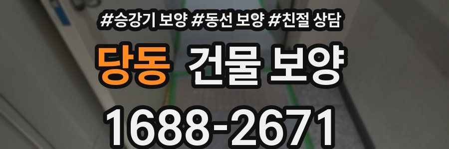 당동 건물 보양