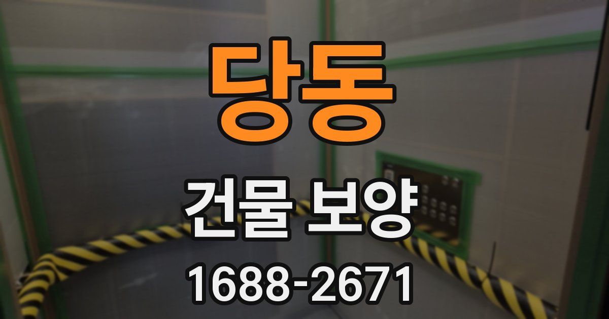 당동 건물 보양